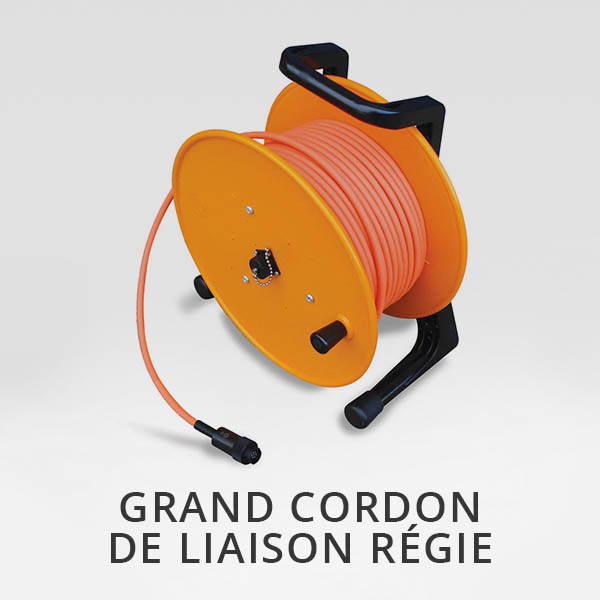 Cordon de liaison régie Proteus ou SOLOPro Plus